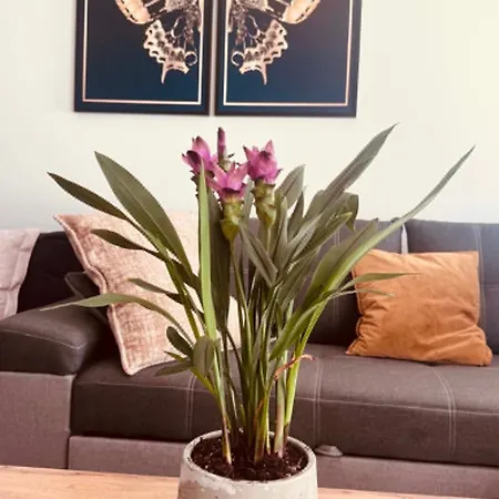 404 No 1 Stare Bulwary Apartment Szczecin